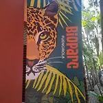 New Penthouse Near With Sunny Balcony