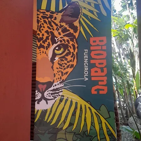 New Penthouse Near With Sunny Balcony