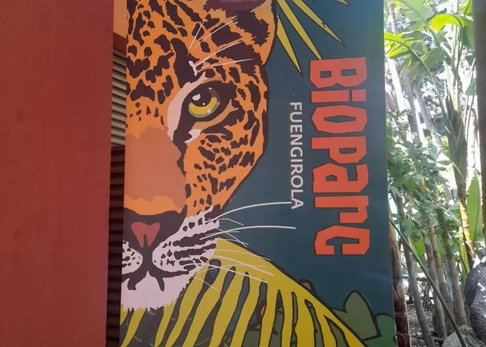 New Penthouse Near With Sunny Balcony