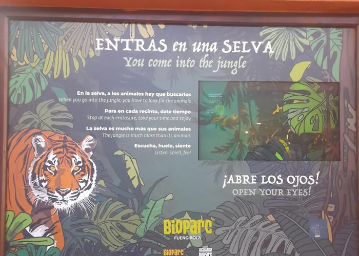 Apartament New Penthouse Near With Sunny Balcony